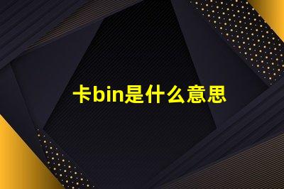 卡bin是什么意思 bin文件是什么意思